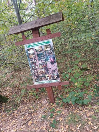 2024/2025 Wycieczka do Leśnej klasy do Suchedniowa