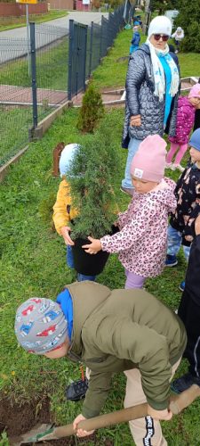 dzieci z grupy Biedroneczki niosą drzewko do posadzenia 