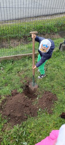 2025/2026 Biedroneczki i Świętokrzyskie Nuteczki sadzą drzewo!