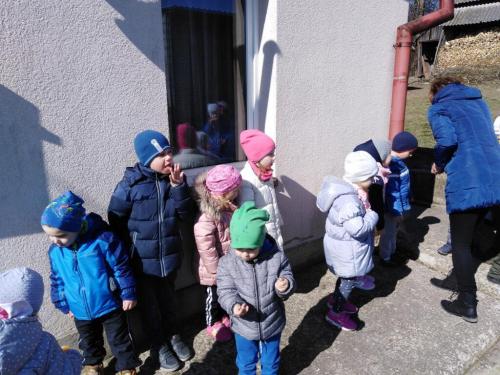 Projekt „Pszczoła”