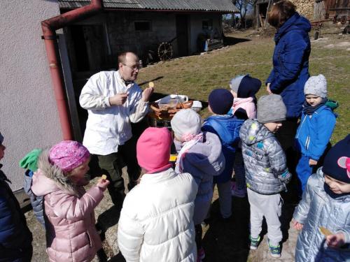 Projekt „Pszczoła”