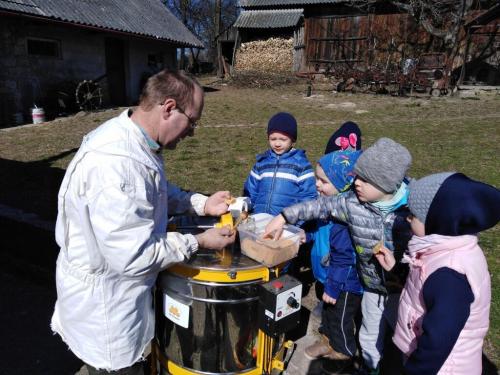 Projekt „Pszczoła”