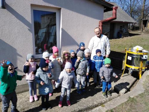 Projekt „Pszczoła”