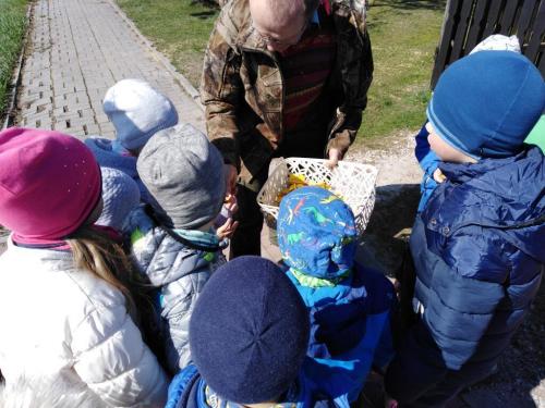 Projekt „Pszczoła”