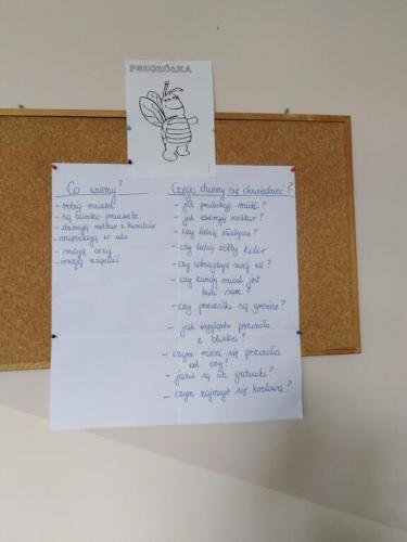 Projekt „Pszczoła”