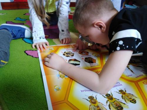 Projekt „Pszczoła”