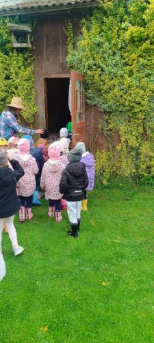 Grupa przedszkolaków wyraz z Panem Mariuszem w gospodarstwie 