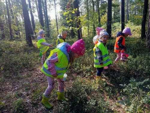 2024/2025 Wyprawa do lasu