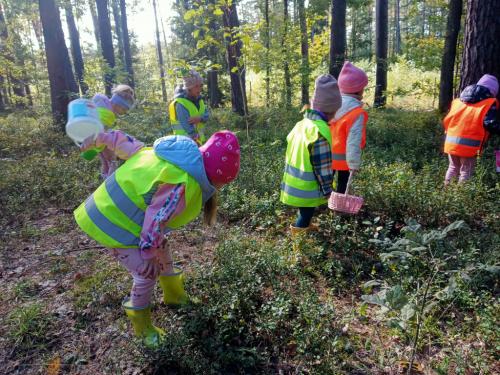 2024/2025 Wyprawa do lasu