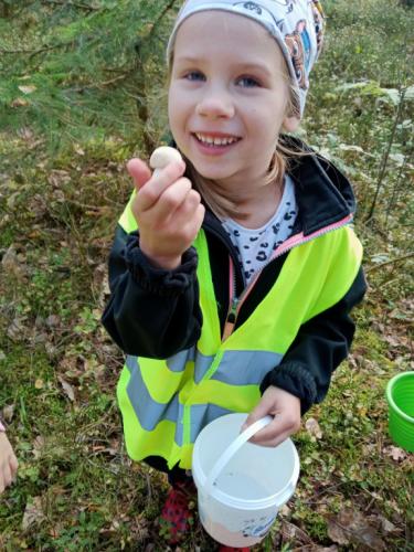 2024/2025 Wyprawa do lasu