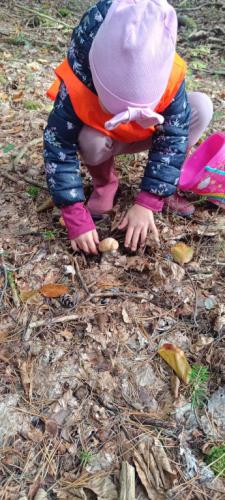 2024/2025 Wyprawa do lasu