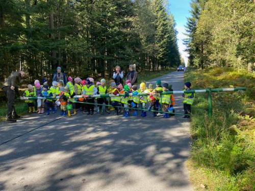 2024/2025 Wyprawa do lasu