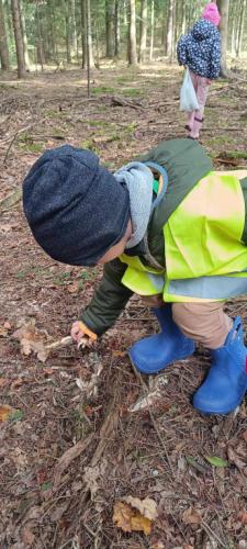 2024/2025 Wyprawa do lasu